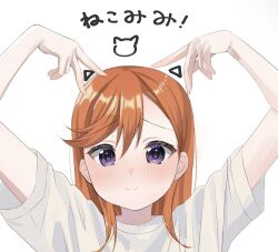 Rule 34 | 1girl, arms up, blush, closed mouth, commentary request, furrowed brow, hair between eyes, highres, looking at viewer, love live!, love live! superstar!!, medium hair, mi0907 mi, orange hair, portrait, purple eyes, shibuya kanon, shirt, short sleeves, smile, solo, swept bangs, translation request, upper body, white background, white shirt