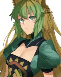 Rule 34 | 1girl, animal ears, atalanta (fate), braid, breasts, cat ears, cleavage, dress, dyed bangs, fate/apocrypha, fate/grand order, fate (series), french braid, gradient hair, green eyes, green hair, highres, looking at viewer, medium breasts, multicolored hair, ri o ne su, simple background, solo, two-tone hair