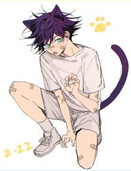 Rule 34 | 1boy, aged down, animal ears, bandaid, bandaid on arm, bandaid on face, bandaid on knee, bandaid on leg, bandaid on nose, black hair, cat boy, cat ears, cat tail, claw pose, commentary request, fangs, fingernails, fushiguro megumi, green eyes, jujutsu kaisen, knee up, looking at viewer, m167cm, male focus, open mouth, paw print, paw print background, shirt, short hair, short sleeves, shorts, solo, spiked hair, squatting, tail, white shirt, white shorts