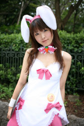 Rule 34 | animal ears, apron, rabbit ears, character request, cosplay, hinako (cosplayer), photo (medium), source request, tray, waitress