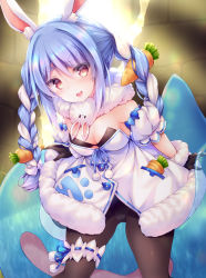 Rule 34 | 1girl, animal ear fluff, animal ears, bikini, bikini top only, black bikini, black gloves, black pantyhose, blue hair, braid, breasts, bridal garter, carrot hair ornament, cleavage, coat, commentary request, crossover, don-chan (usada pekora), dragon quest, food-themed hair ornament, gloves, hair ornament, hololive, kabocha usagi, long hair, open mouth, pantyhose, rabbit ears, rabbit girl, red eyes, scarf, slime (dragon quest), smile, swimsuit, thigh strap, twin braids, twintails, usada pekora, usada pekora (1st costume), virtual youtuber, white coat, white scarf