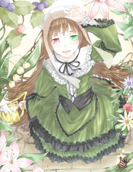Rule 34 | 1girl, arm on own head, arm ribbon, arm up, bad id, bad pixiv id, bonnet, brown hair, bug, butterfly, capelet, classic lolita, daisy, dress, drill hair, flat chest, flower, frilled dress, frills, full body, garden, gothic lolita, green dress, green eyes, hairband, hat, head scarf, headdress, heterochromia, holding, insect, juliet sleeves, lace, layered sleeves, leaf, lily (flower), lolita fashion, long hair, long sleeves, looking at viewer, looking up, open mouth, outdoors, puffy sleeves, red eyes, ribbon, rozen maiden, short over long sleeves, short sleeves, smile, solo, standing, suiseiseki, tile floor, tiles, tukiotoyomi, twin drills, very long hair, watering can, wide sleeves