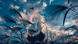 Rule 34 | 1girl, absurdres, arm up, bird, black skirt, blue eyes, blue sky, cloud, cloudy sky, commentary request, feet out of frame, frilled sleeves, frills, grass, highres, jacket, lace trim, long sleeves, medium hair, open mouth, original, outdoors, outstretched arm, plant, scarf, scenery, shimekake, skirt, sky, solo, white hair, white scarf, wide shot, yellow jacket