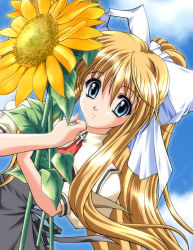Rule 34 | 00s, 1girl, air (visual novel), blonde hair, flower, hair ribbon, kamio misuzu, long hair, ribbon, school uniform, serafuku, solo, sunflower