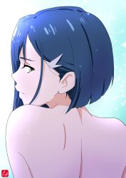 Rule 34 | 10s, 1girl, absurdres, back, bare back, blue hair, chris re5, closed mouth, darling in the franxx, from behind, green eyes, hair ornament, hairclip, highres, ichigo (darling in the franxx), looking at viewer, looking back, short hair, solo, upper body