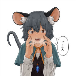 Rule 34 | 1girl, animal ear fluff, animal ears, blue capelet, brown eyes, capelet, chagamaka, commentary, crystal, grey hair, heavy breathing, highres, jewelry, mouse ears, mouse girl, mouse tail, nazrin, necklace, open mouth, pendant, saliva, solo, tail, touhou, translation request, upper body
