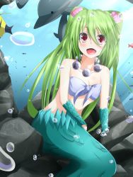 Rule 34 | 1girl, blush, breasts, clam, cleavage, dolphin, ehimedaisuki, fish, green hair, hair ornament, highres, jewelry, long hair, mermaid, monster girl, muromi-san, namiuchigiwa no muromi-san, necklace, open mouth, red eyes, seashell, shell, sitting, twintails, two side up, underwater, very long hair, warabi mochi (ehimedaisuki)