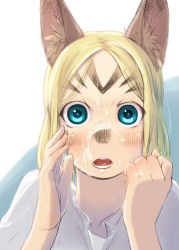 Rule 34 | 00s, 1girl, :o, animal ears, blonde hair, blue eyes, blush, cat ears, face, final fantasy, final fantasy xi, mithra (ff11), nucomas, sexually suggestive, solo, wet