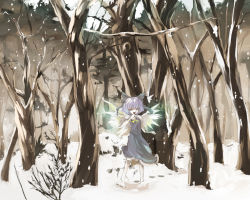 Rule 34 | 1girl, blue eyes, blue hair, cirno, female focus, forest, matching hair/eyes, nature, outdoors, perfect cherry blossom, short hair, shunsei (muratou), snow, snowing, solo, touhou, tree, wings