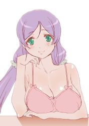 Rule 34 | 10s, 1girl, breasts, collarbone, green eyes, head on hand, large breasts, long hair, looking at viewer, love live!, love live! school idol project, pov, purple hair, shinama, shiny skin, simple background, solo, tojo nozomi, twintails, white background