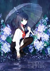Rule 34 | 10s, 1girl, 2016, arm support, artist name, black skirt, black thighhighs, blouse, blue hair, blue theme, bug, butterfly, dated, english text, flower, flower request, from side, full body, hair rings, happy birthday, highres, holding, holding umbrella, hydrangea, insect, loafers, long hair, long sleeves, looking at viewer, luo tianyi, neckerchief, outdoors, pleated skirt, puddle, rain, sailor collar, school uniform, serafuku, shirt, shoes, skirt, solo, squatting, text focus, thighhighs, transparent, transparent umbrella, umbrella, vocaloid, white shirt, yu jiu, zettai ryouiki