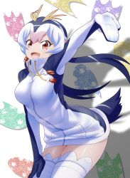 Rule 34 | 10s, 1girl, :d, animal ears, arm up, black hair, breasts, feathers, headphones, highres, jacket, kagiyama (clave), kemono friends, looking at viewer, medium breasts, multicolored hair, open mouth, penguin tail, pink hair, red eyes, royal penguin (kemono friends), simple background, smile, solo, streaked hair, tail, tareme, thighhighs, twintails, white background, white hair, white thighhighs
