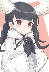 Rule 34 | 1girl, absurdres, black-headed ibis (kemono friends), black gloves, black hair, black ribbon, blunt bangs, blush, braid, breasts, brown eyes, commentary request, feathered wings, frilled sleeves, frills, fur trim, gloves, hands up, head wings, highres, kemono friends, long hair, long sleeves, medium breasts, neck ribbon, parted lips, pink background, ribbon, shirt, solo, steepled fingers, sunanuko (ramuneko), twin braids, two-tone background, upper body, white background, white shirt, white wings, wide sleeves, wings
