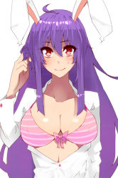 Rule 34 | 1girl, animal ears, bad id, bad pixiv id, bow, bow bra, bra, breasts, buttons, cleavage, collarbone, dress shirt, female focus, twirling hair, jont, large breasts, long hair, looking at viewer, necktie, open clothes, open shirt, pink background, pink bra, purple hair, rabbit ears, red eyes, reisen udongein inaba, shirt, simple background, smile, solo, striped bra, striped clothes, sweat, touhou, underwear, upper body, very long hair, white background
