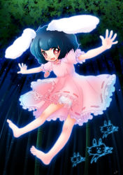 Rule 34 | 1girl, animal ears, bamboo, bamboo forest, barefoot, black hair, bloomers, rabbit ears, dress, female focus, forest, highres, inaba tewi, jewelry, nature, outstretched arms, pendant, red eyes, solo, spread arms, symbol-shaped pupils, touhou, underwear