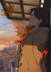 Rule 34 | 1girl, absurdres, arm behind back, autumn, autumn leaves, bag, braid, brown hair, bus, bus stop, city, cityscape, cloud, coat, falling leaves, freckles, from side, glasses, highres, hood, isai shizuka, leaf, long hair, maple leaf, motor vehicle, mountain, outdoors, parted lips, shoulder bag, side braid, sky, solo, sunset, town, vehicle