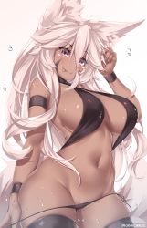 Rule 34 | 1girl, absurdres, animal ear fluff, animal ears, armband, artist name, aurora (kanachirou), bikini, black bikini, black thighhighs, blush, breasts, closed mouth, commentary, cowboy shot, criss-cross halter, dark-skinned female, dark skin, facial mark, fang, fox ears, fox tail, hair between eyes, halterneck, hand in own hair, highres, hip focus, kanachirou, large breasts, long hair, looking at viewer, open mouth, original, panties, purple eyes, sideboob, simple background, smile, solo, swimsuit, tail, thighhighs, tongue, tongue out, twitter username, underwear, water drop, wet, white background, white hair, wristband