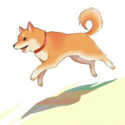 Rule 34 | abstract background, animal, animal focus, black eyes, collar, commentary request, dog, from side, full body, jumping, looking ahead, no humans, original, red collar, rui (veranda), shadow, shiba inu, simple background, solo, tongue, white background