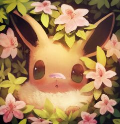 Rule 34 | bad id, bad pixiv id, blush, commentary request, creatures (company), eevee, flower, fluffy, game freak, gen 1 pokemon, highres, looking at viewer, manino (mofuritaionaka), nintendo, no humans, petals, pink flower, plant, pokemon, pokemon (creature), solo