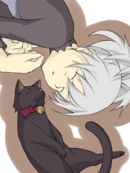 Rule 34 | 1girl, animal, bell, neck bell, black cat, cat, collar, darker than black, closed eyes, hand on another&#039;s chest, hands on own chest, highres, lying, mao (darker than black), on back, on side, shadow, silver hair, sleeping, solo, tamaki iori, yin (darker than black)