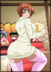 Rule 34 | 1girl, border, breast press, breasts, brown hair, chinkyuu koudai, cowboy shot, curvy, doll, dress, from behind, green eyes, ikkitousen, indoors, large breasts, legs, light smile, looking at viewer, looking back, pink thighhighs, short hair, sleeves past wrists, solo, standing, sweater, sweater dress, tagme, thighhighs, translucent border, transparent border, zettai ryouiki