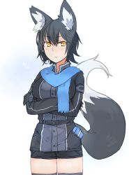 Rule 34 | 1girl, animal ears, black hair, black thighhighs, blue scarf, breasts, coat, crossed arms, dated, expressionless, fox ears, fox tail, ganesagi, gift, gloves, looking at viewer, medium breasts, nanashi (ganesagi), nanashi (shirogane usagi), original, scarf, short hair, short shorts, shorts, solo, tail, thighhighs, yellow eyes, zettai ryouiki