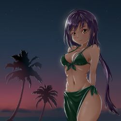 Rule 34 | 1girl, ahoge, arms behind back, bikini, black bikini, blush, breasts, commentary, english commentary, english text, front-tie top, groin, highres, long hair, looking at viewer, medium breasts, midriff, navel, nengajou, new year, night, night sky, palm tree, purple hair, sarong, sky, smile, solace, solo, swimsuit, tokyo ravens, tree, tsuchimikado natsume