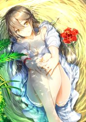 Rule 34 | 1girl, alternate costume, bare legs, bikini, black hair, blush, breasts, brown eyes, cleavage, closed mouth, collarbone, day, flower, from above, hair between eyes, hair ornament, hairband, haruna (kancolle), head tilt, hibiscus, jacket, kantai collection, knees up, kyougoku touya, large breasts, long hair, looking at viewer, lying, on back, open clothes, open jacket, outdoors, own hands together, partially submerged, ripples, sidelocks, smile, solo, swept bangs, swimsuit, untied bikini, white bikini, white jacket, wristband