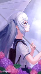 Rule 34 | 1girl, blue eyes, blue sailor collar, character request, collared shirt, day, floating hair, flower, from side, highres, holding, holding umbrella, hydrangea, long hair, looking up, mejiro yae, open mouth, outdoors, pink flower, profile, purple flower, rain, sailor collar, sailor shirt, shirt, short sleeves, signature, silver hair, solo, sunlight, transparent, transparent umbrella, twintails, umbrella, upper body, very long hair, virtual youtuber, white neckwear, white shirt