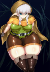 Rule 34 | 1girl, alternate breast size, belt, blue eyes, boots, braid, breasts, dragon&#039;s crown, elf, elf (dragon&#039;s crown), female focus, gradient background, hood, large breasts, long hair, plant, plump, pointy ears, shorts, silver hair, solo, thick thighs, thigh boots, thighhighs, thighs, totoya, wide hips