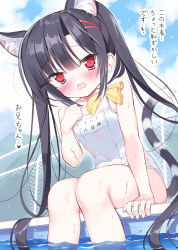 Rule 34 | 1girl, animal ear fluff, animal ears, black hair, blush, cat ears, cat girl, cat tail, chain-link fence, cloud, commentary request, dokidoki sister aoi-chan, fence, hair ornament, hairclip, hand on own chest, highres, kohinata aoi (dokidoki sister aoi-chan), long hair, looking at viewer, name tag, one-piece swimsuit, open mouth, outdoors, pool, poolside, red eyes, school swimsuit, sitting, sky, soaking feet, solo, swimsuit, tail, takahashi tetsuya, thighs, translation request, twintails, very long hair, white one-piece swimsuit
