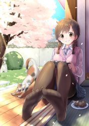 Rule 34 | 1girl, :d, animal, blue sky, blush, braid, breasts, brown eyes, brown hair, brown pantyhose, bush, buttons, cardigan vest, cat, cherry blossoms, collared shirt, dappled sunlight, day, dress shirt, feet, food, full body, game console, grass, grin, hair ornament, hair tie, hairclip, handheld game console, holding, knees up, light rays, long sleeves, looking at viewer, medium breasts, mozu (peth), necktie, no shoes, open mouth, original, pantyhose, petals, pink sweater, plaid, plaid necktie, plaid neckwear, plaid skirt, plate, playing games, playstation portable, porch, school uniform, shirt, sitting, skirt, sky, sliding doors, smile, solo, stretching, sunbeam, sunlight, sweater, sweater vest, tatami, toes, tree, twin braids, veranda, waking up, white shirt, wing collar, yawning