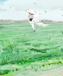 Rule 34 | 1girl, animal ears, arms up, black eyes, black hair, blue sky, blush, center frills, cloud, cloudy sky, colored tips, commentary request, day, falling leaves, field, frills, fur skirt, grass, hair between eyes, kemono friends, leaf, long sleeves, looking at viewer, midair, mountainous horizon, multicolored hair, no pupils, open mouth, outdoors, pantyhose, pero (sabuaka bacon), puffy long sleeves, puffy sleeves, shirt, shoes, short hair, sky, solo, southern tamandua (kemono friends), suspenders, tamandua ears, tamandua tail, underbust, white footwear, white hair, white pantyhose, white shirt, wide shot