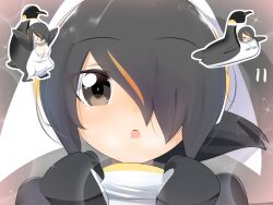 Rule 34 | &gt; &lt;, 1girl, animal costume, black eyes, black hair, black jacket, blush, brown background, chibi, chibi inset, commentary request, emperor penguin (kemono friends), hair between eyes, hair over one eye, headphones, jacket, kemono friends, lets0020, long bangs, looking at viewer, multicolored hair, numbered, o o, open mouth, orange hair, penguin costume, short hair, solo, sparkle, streaked hair, upper body, v-shaped eyebrows