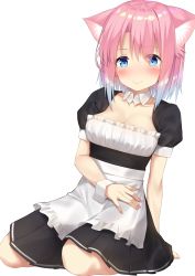 Rule 34 | 1girl, absurdres, animal ears, apron, blue eyes, blue hair, blush, breasts, cat ears, cleavage, closed mouth, frilled apron, frills, go-1, gradient hair, highres, looking at viewer, maid, medium breasts, multicolored hair, original, pink hair, puffy short sleeves, puffy sleeves, short hair, short sleeves, sidelocks, simple background, sitting, solo, tareme, white background, wrist cuffs, yokozuwari