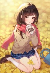 Rule 34 | 1girl, absurdres, autumn, autumn leaves, backlighting, bag, blue skirt, blunt bangs, blurry, blush, brown eyes, brown hair, cardigan, coffee cup, cup, day, depth of field, disposable cup, fingernails, fringe trim, hands up, highres, holding, holding cup, inchangboy2, kneehighs, knees together feet apart, leaf, light particles, loafers, long hair, looking at viewer, on ground, original, outdoors, parted lips, plaid, plaid skirt, red scarf, scarf, school uniform, shoes, sitting, skirt, sleeves past wrists, socks, solo, sunlight, wariza, white socks
