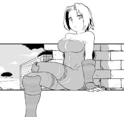 Rule 34 | 1girl, bad id, bad pixiv id, bare shoulders, breasts, cleavage, crossed legs, final fantasy, final fantasy tactics, fingerless gloves, gloves, greyscale, large breasts, monk (fft), monochrome, short hair, sitting, solo, tsukudani (coke-buta), unitard