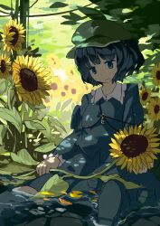 Rule 34 | 1girl, blue eyes, blue footwear, blue hair, blue jacket, blue skirt, boots, cabbie hat, dappled sunlight, day, flower, grass, hair bobbles, hair ornament, hat, holding, holding flower, in water, jacket, kawashiro nitori, long sleeves, matching hair/eyes, nature, petals, rubber boots, short hair, sitting, skirt, smile, solo, sunflower, sunlight, touhou, tree shade, two side up, uwa, water