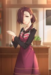 Rule 34 | 10s, 1girl, angelica (sakura quest), apron, brown eyes, earrings, hair over one eye, hair over shoulder, highres, indoors, jar, jewelry, long hair, looking at viewer, mole, mole under eye, own hands together, plant, ponytail, potted plant, sakura quest, sendo (sendrawz), solo, standing, stud earrings