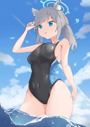 Rule 34 | 1girl, absurdres, animal ear fluff, animal ears, black one-piece swimsuit, blue archive, blue eyes, blue sky, breasts, cloud, competition swimsuit, covered navel, cowboy shot, cross hair ornament, day, extra ears, grey hair, hair ornament, halo, highres, low ponytail, medium breasts, medium hair, mismatched pupils, multicolored clothes, multicolored swimsuit, one-piece swimsuit, outdoors, partially underwater shot, shiroko (blue archive), shiroko (swimsuit) (blue archive), sky, solo, swimsuit, wading, wolf ears, yukin (yukin8210)