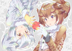 Rule 34 | 10s, 2girls, apple, brown coat, brown eyes, brown hair, coat, eurasian eagle owl (kemono friends), food, fruit, fur collar, gloves, grey coat, head wings, kemono friends, long sleeves, looking at another, multicolored hair, multiple girls, northern white-faced owl (kemono friends), parted lips, portrait, rotational symmetry, short hair, symmetry, takano itsuki, upside-down, white gloves, white hair, wings, yellow eyes, yellow gloves
