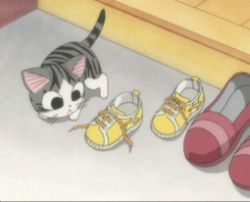 Rule 34 | animal focus, animated, animated gif, cat, chi&#039;s sweet home, chi (character), lowres, no humans, shoes