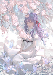 Rule 34 | 1girl, black ribbon, bug, butterfly, closed eyes, closed mouth, day, dress, fate/stay night, fate (series), floating hair, flower, hair between eyes, hair ribbon, highres, hitotaba, insect, long dress, long hair, matou sakura, official alternate costume, outdoors, purple hair, red ribbon, rei no himo, ribbon, short sleeves, sitting, smile, solo, sundress, very long hair, white dress, white flower