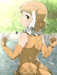 Rule 34 | 1girl, animal ears, black eyes, brown gloves, brown hair, brown one-piece swimsuit, closed mouth, clothing cutout, day, dripping, elbow gloves, extra ears, fingerless gloves, fur collar, gloves, hakoneko (marisa19899200), hands up, highres, japanese otter (kemono friends), juggling, kemono friends, looking at viewer, looking back, medium hair, multicolored hair, one-piece swimsuit, orange one-piece swimsuit, otter ears, otter girl, otter tail, outdoors, sidelocks, solo, stone, swimsuit, tail, tail through clothes, two-tone hair, water, wet, wet clothes, wet face, wet hair, white hair