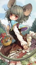 Rule 34 | 1girl, absurdres, animal ears, basket, black dress, blouse, blue capelet, blush, breasts, capelet, cloud, crystal, day, dowsing rod, dress, feet out of frame, floating hair, flower, from side, grass, grey hair, hand up, highres, holding, jewelry, kneehighs, large ears, long sleeves, looking at viewer, looking to the side, medium breasts, melaton, mountain, mouse (animal), mouse ears, mouse girl, mouse tail, nazrin, outdoors, outstretched arm, pendant, petticoat, red eyes, red flower, red ribbon, ribbon, rock, shirt, short hair, sky, socks, solo, tail, tail ornament, tail ribbon, touhou, tree, twisted torso, white shirt, white socks