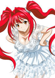 Rule 34 | 00s, 1girl, breasts, dress, female focus, ikkitousen, kanpei, large breasts, long hair, looking at viewer, red hair, shiny skin, solo, twintails