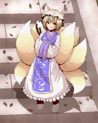 Rule 34 | 1girl, blonde hair, cat tail, chen, female focus, fox tail, from above, hands in opposite sleeves, hat, hiding, hiro (pqtks113), leaf, looking at viewer, multiple tails, short hair, smile, solo focus, stairs, standing, tail, touhou, when you see it, yakumo ran, yellow eyes