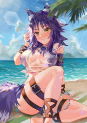 Rule 34 | 1girl, absurdres, animal ear fluff, animal ears, arm belt, beach, bikini, blue sky, blush, bracelet, breasts, chain, criss-cross halter, day, fang qiao, halterneck, highres, jewelry, knee up, large breasts, looking at viewer, makoto (princess connect!), makoto (summer) (princess connect!), medium hair, ocean, outdoors, palm tree, photoshop (medium), princess connect!, purple bikini, purple hair, see-through, shirt, shore, short sleeves, sidelocks, sitting, sky, solo, swimsuit, tail, thigh strap, thighs, tied shirt, tree, wet, wet clothes, wet shirt, white shirt, wolf ears, wolf girl, wolf tail, yellow eyes