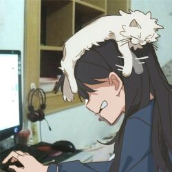 Rule 34 | 1girl, animal, animal on head, animalization, bang dream!, bang dream! it&#039;s mygo!!!!!, black hair, blue shirt, cat, cat on head, chinese commentary, commentary request, computer mouse, highres, indoors, kaname raana, long hair, long sleeves, meme, meme request, monitor, on head, open mouth, photo background, shiina taki, shirt, silencever727, solo