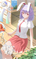 Rule 34 | 1girl, absurdres, alternate hair length, alternate hairstyle, anima miko, animal ears, blurry, blush, breasts, closed mouth, collared shirt, day, depth of field, feet out of frame, food, fruit, hair between eyes, highres, large breasts, light particles, light smile, looking at viewer, medium hair, necktie, outdoors, puffy short sleeves, puffy sleeves, purple hair, rabbit ears, red eyes, red necktie, red skirt, reisen udongein inaba, shirt, short sleeves, sitting, skirt, solo, tatami, touhou, watermelon, watermelon slice, white shirt, wind chime, wing collar